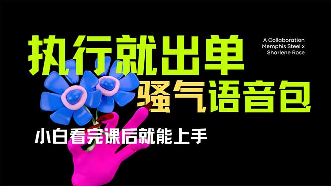 （14170期）爆火全网的开车导航骚气语音包,只要执行就出单，小白看完课程就能实操…网赚项目-副业赚钱-互联网创业-资源整合-私域引流-黑科技软件-引流软件哲客网创