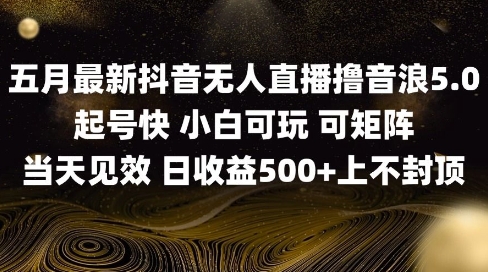 2025五月最新无人直播撸音浪单日产出5张+实操教程【揭秘】网赚项目-副业赚钱-互联网创业-资源整合-私域引流-黑科技软件-引流软件哲客网创