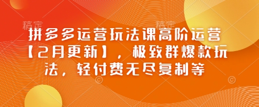 拼多多运营玩法课高阶运营【2月更新】，极致群爆款玩法，轻付费无尽复制等网赚项目-副业赚钱-互联网创业-资源整合-私域引流-黑科技软件-引流软件哲客网创