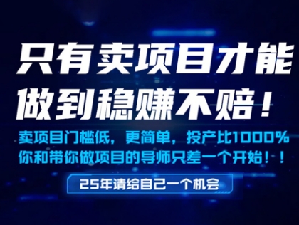 只有卖项目才能做到稳挣不赔，门槛低，更简单，你也可以年入百个W【揭秘】网赚项目-副业赚钱-互联网创业-资源整合-私域引流-黑科技软件-引流软件哲客网创