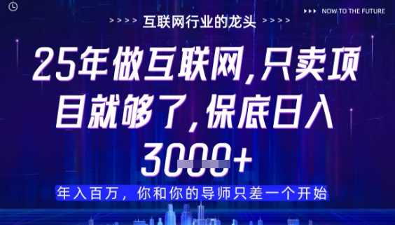 什么！25年你还在找项目做？风口早就变了，卖项目才是稳挣不赔【揭秘】网赚项目-副业赚钱-互联网创业-资源整合-私域引流-黑科技软件-引流软件哲客网创