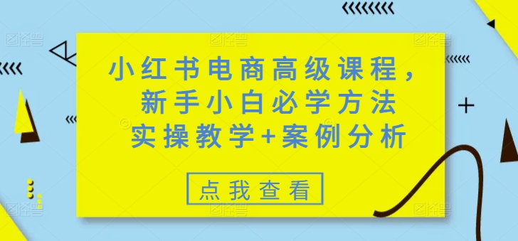 小红书电商高级课程，新手小白必学方法，实操教学+案例分析网赚项目-副业赚钱-互联网创业-资源整合-私域引流-黑科技软件-引流软件哲客网创