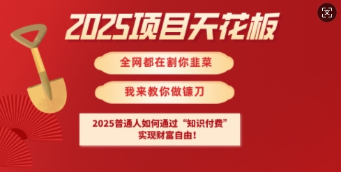 2025项目天花板普通人如何通过知识付费，实现财F自由【揭秘】网赚项目-副业赚钱-互联网创业-资源整合-私域引流-黑科技软件-引流软件哲客网创