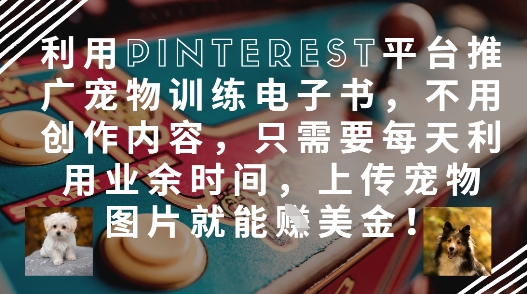 利用Pinterest平台推广宠物训练电子书，不用创作内容，只需要每天利用业余时间，上传宠物图片就能挣美金!网赚项目-副业赚钱-互联网创业-资源整合-私域引流-黑科技软件-引流软件哲客网创