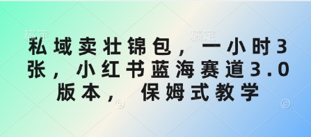 私域卖壮锦包，一小时3张，小红书蓝海赛道3.0版本， 保姆式教学网赚项目-副业赚钱-互联网创业-资源整合-私域引流-黑科技软件-引流软件哲客网创