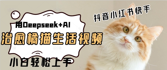 疯狂火爆，用Deepseek+AI做治愈橘猫系列视频，小白轻松制作+快速拿到结果网赚项目-副业赚钱-互联网创业-资源整合-私域引流-黑科技软件-引流软件哲客网创