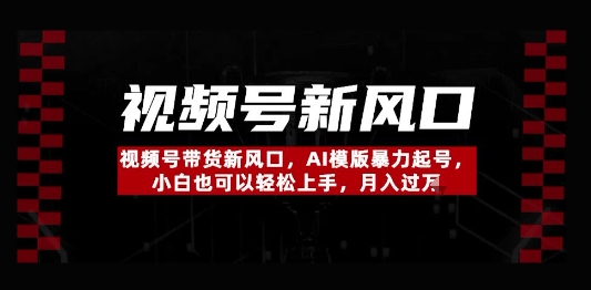 视频号带货新风口，AI模版暴力起号，小白也可以轻松上手，月入过W网赚项目-副业赚钱-互联网创业-资源整合-私域引流-黑科技软件-引流软件哲客网创