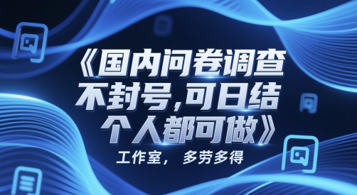 国内问卷调查，不封号，可日结，多劳多得，工作室，个人都可做网赚项目-副业赚钱-互联网创业-资源整合-私域引流-黑科技软件-引流软件哲客网创