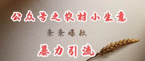 deepseek写农村小项目，条条爆款，暴力引流网赚项目-副业赚钱-互联网创业-资源整合-私域引流-黑科技软件-引流软件哲客网创