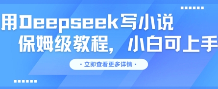 用Deepseek写小说，保姆级教程，小白可实操网赚项目-副业赚钱-互联网创业-资源整合-私域引流-黑科技软件-引流软件哲客网创