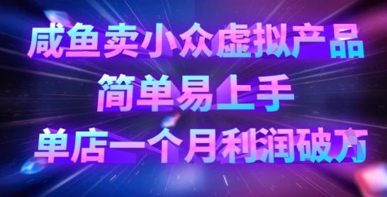 咸鱼卖小众虚拟产品，简单易上手，单店一个月利润破W网赚项目-副业赚钱-互联网创业-资源整合-私域引流-黑科技软件-引流软件哲客网创