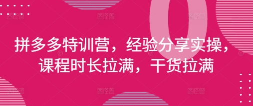 拼多多特训营，经验分享实操，课程时长拉满，干货拉满(更新25年4月)网赚项目-副业赚钱-互联网创业-资源整合-私域引流-黑科技软件-引流软件哲客网创