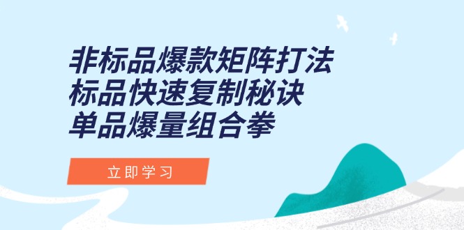 （15068期）非标品爆款矩阵打法，标品快速复制秘诀，单品爆量组合拳网赚项目-副业赚钱-互联网创业-资源整合-私域引流-黑科技软件-引流软件哲客网创