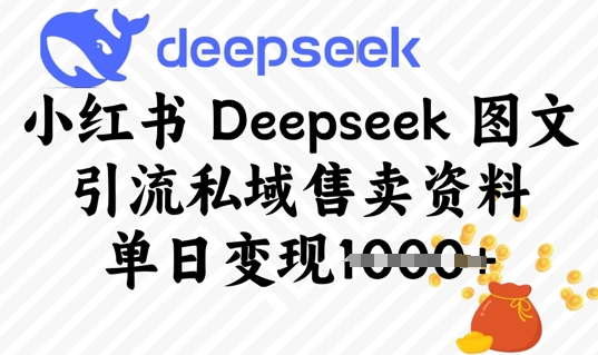 小红书Deepseek 图文引流私域售卖资料，单日变现多张网赚项目-副业赚钱-互联网创业-资源整合-私域引流-黑科技软件-引流软件哲客网创