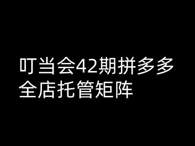 叮当会拼多多打爆班原创高阶技术第42期，拼多多全店托管矩阵网赚项目-副业赚钱-互联网创业-资源整合-私域引流-黑科技软件-引流软件哲客网创
