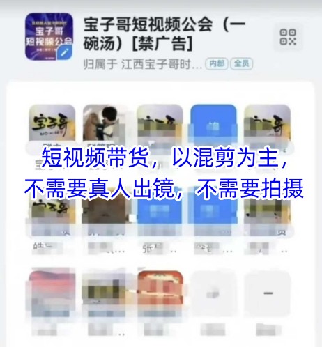 宝子哥头部团队短视频带货，以混剪为主，不需要真人出镜，不需要拍摄网赚项目-副业赚钱-互联网创业-资源整合-私域引流-黑科技软件-引流软件哲客网创