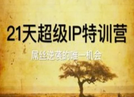 21天超级IP特训营，屌丝逆袭的唯一机会网赚项目-副业赚钱-互联网创业-资源整合-私域引流-黑科技软件-引流软件哲客网创