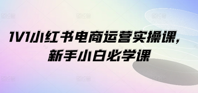 1V1小红书电商运营实操课，新手小白必学课网赚项目-副业赚钱-互联网创业-资源整合-私域引流-黑科技软件-引流软件哲客网创